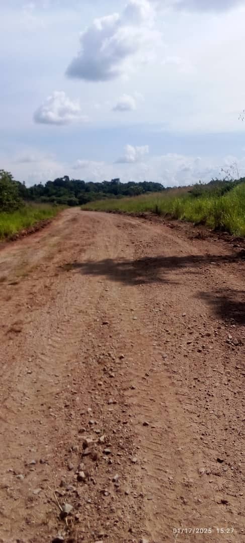 Road sealing